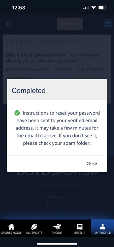 forgot password email sent screen