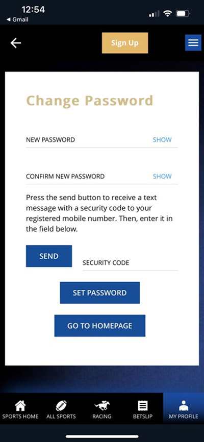 set new password screen